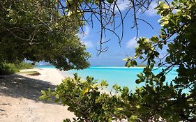 Royal Reef Stay